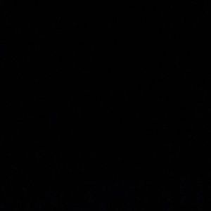 Meet your Posher, Nicola